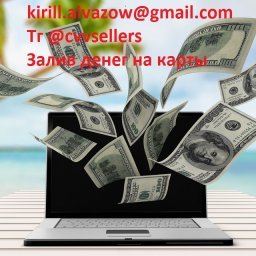 Заливы на карты VISA, MasterCard, MIR - быстро и безопасно Заливы на карты VISA, MasterCard, MIR - быстро и безопасно
