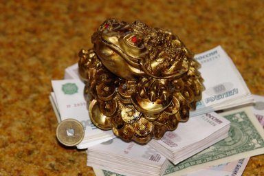 Заливы для уверенных серьезных людей. Заливы для уверенных серьезных людей.