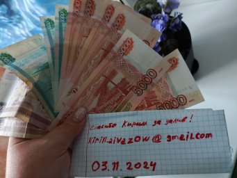 получила залив